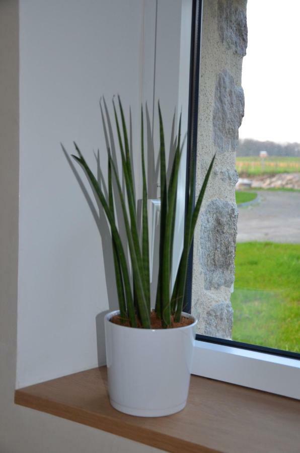Holiday home La Remise 4 Etoiles Saint-Hilaire-de-Mortagne